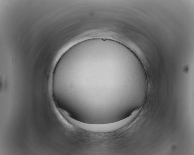 X0000100361528200807031826