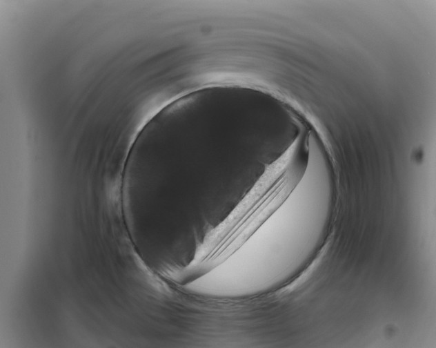 X0000100361529200807031826