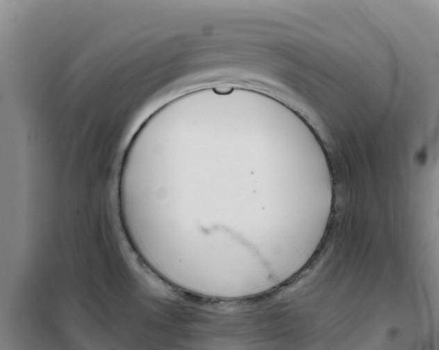 X0000100361530200807031826