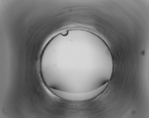 X0000100361531200807031826