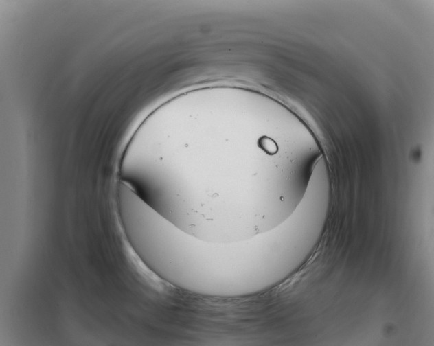 X0000100361532200807031826