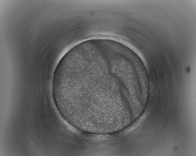 X0000100361533200807031826