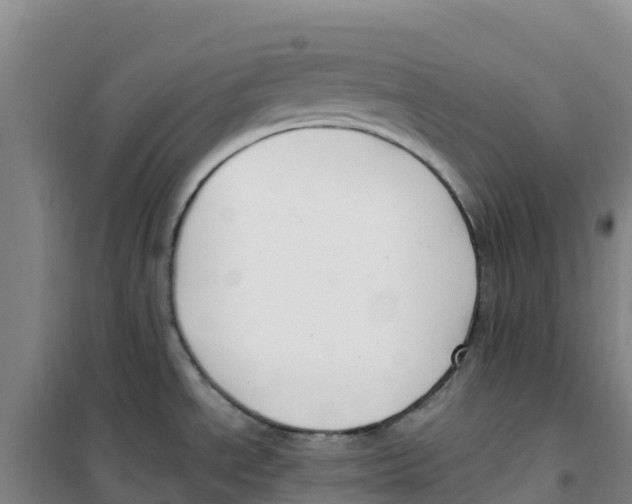 X0000100361534200807031826