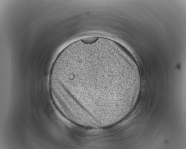 X0000100361535200807031826