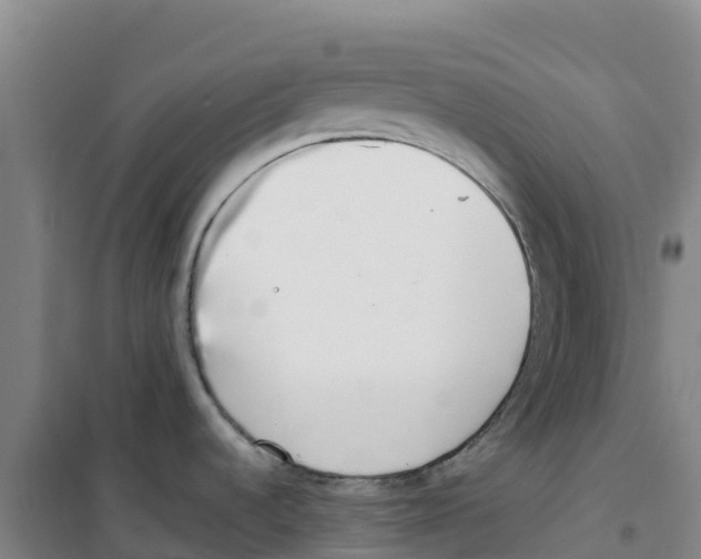 X0000100361536200807031826