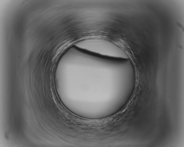 X0000100370001200806060813