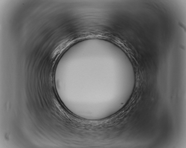 X0000100370002200806060813