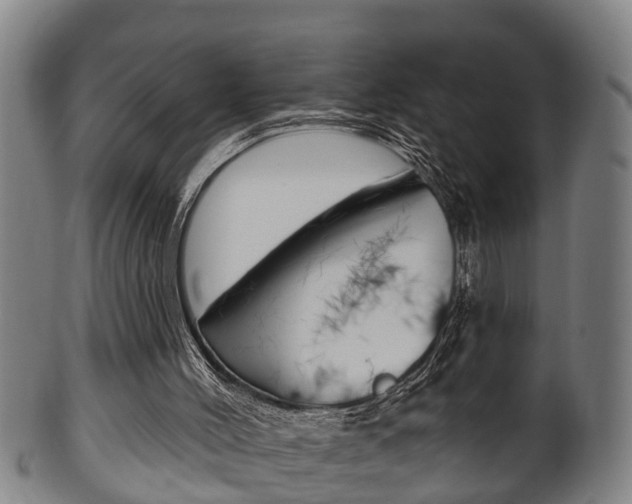 X0000100370004200806060813