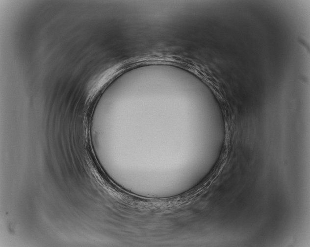 X0000100370005200806060813