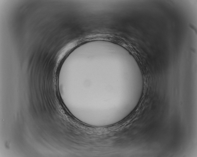 X0000100370006200806060813
