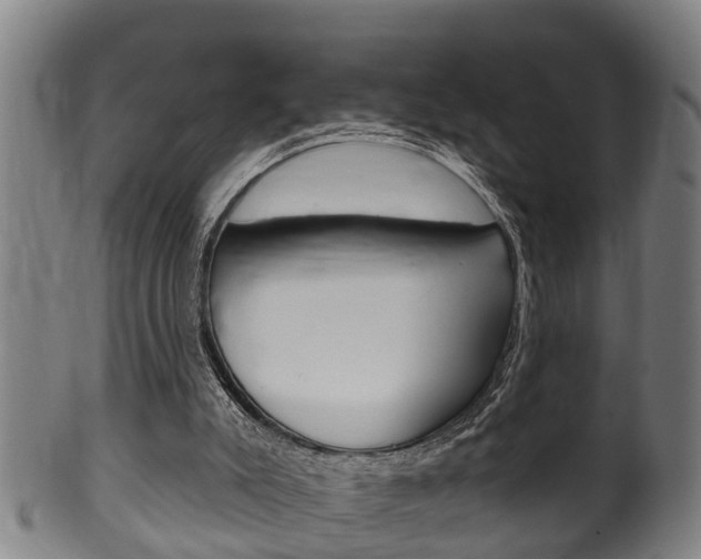 X0000100370007200806060813