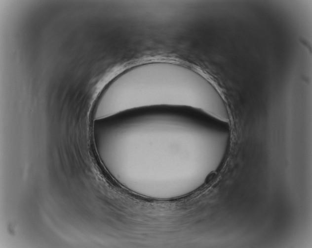 X0000100370008200806060813