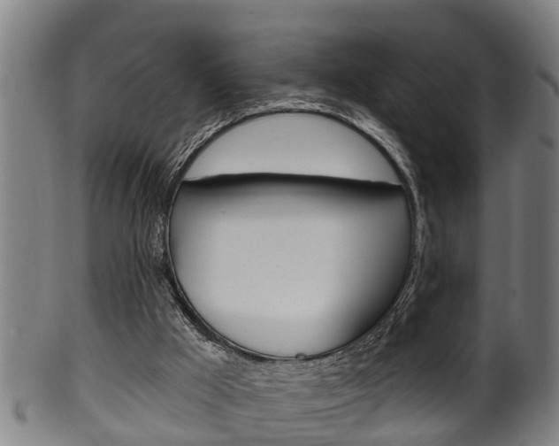 X0000100370009200806060813