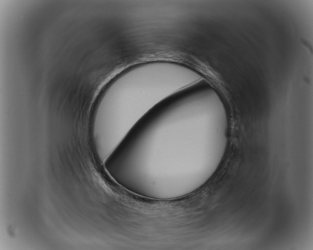 X0000100370012200806060813