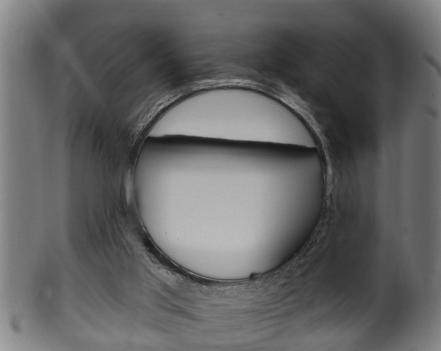 X0000100370013200806060813