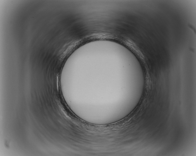 X0000100370014200806060813
