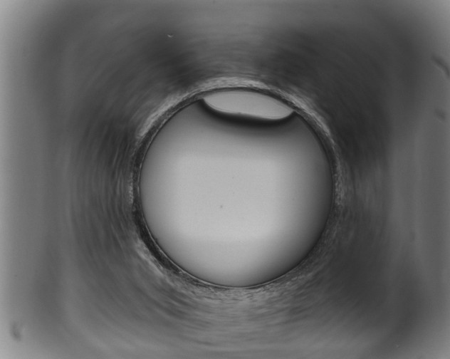 X0000100370015200806060813