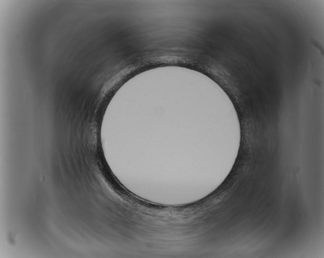 X0000100370016200806060813