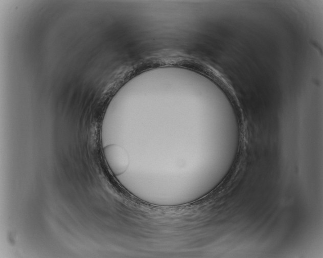 X0000100370018200806060813