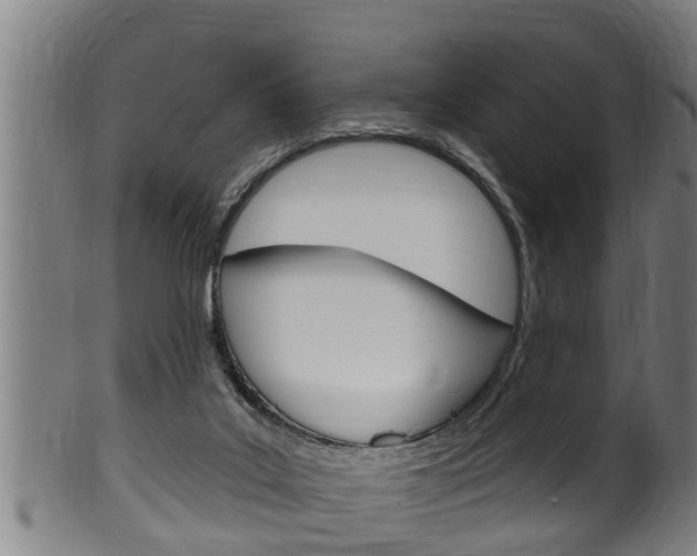 X0000100370019200806060813