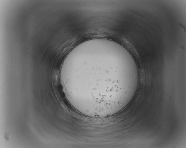 X0000100370026200806060813