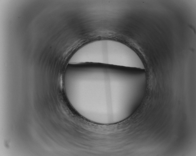 X0000100370027200806060813