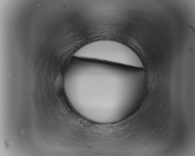 X0000100370029200806060813