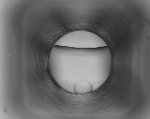 X0000100370030200806060813