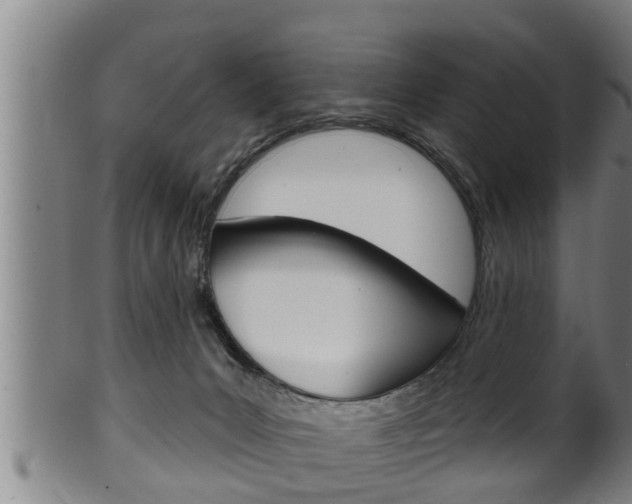 X0000100370031200806060813
