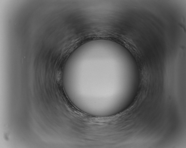 X0000100370033200806060813