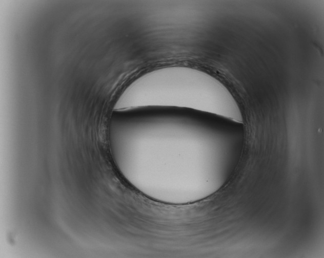 X0000100370035200806060813
