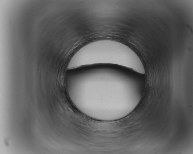 X0000100370036200806060813