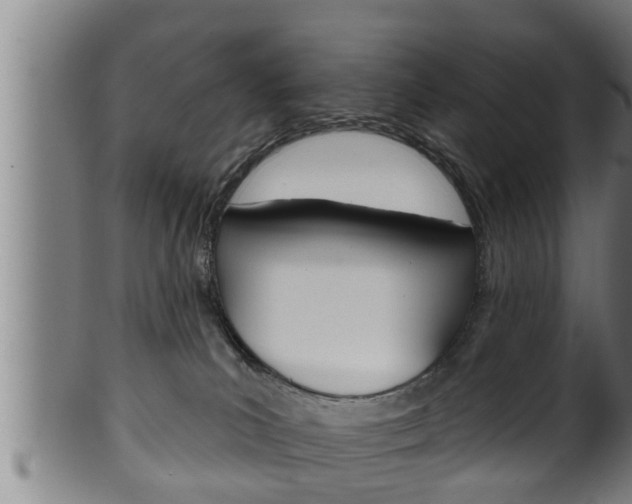 X0000100370039200806060813