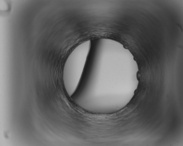 X0000100370040200806060813