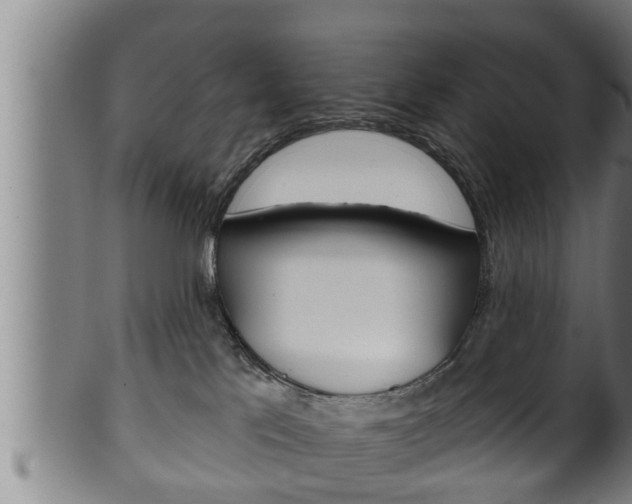 X0000100370041200806060813