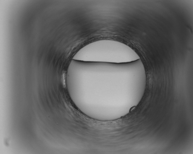 X0000100370042200806060813
