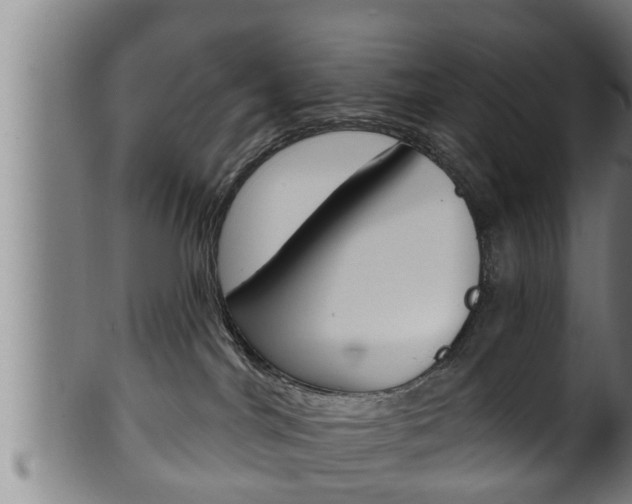 X0000100370044200806060813