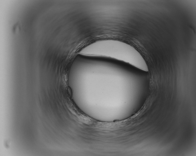 X0000100370045200806060813