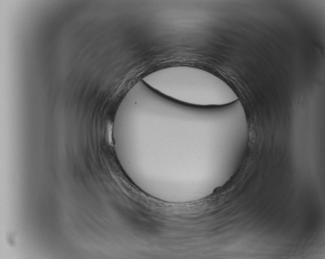 X0000100370046200806060813