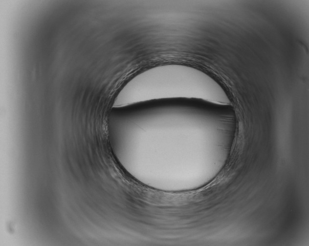X0000100370048200806060813