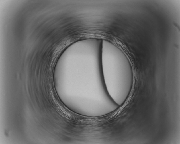 X0000100370049200806060812