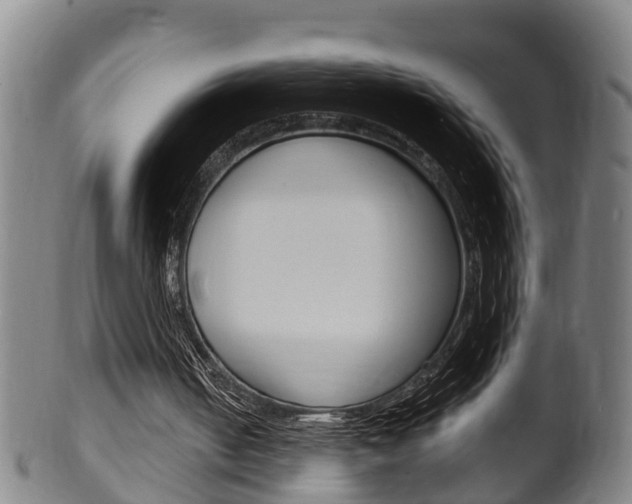 X0000100370050200806060812