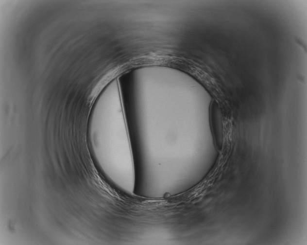 X0000100370051200806060812