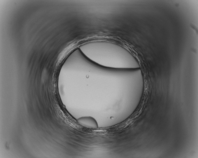 X0000100370053200806060812