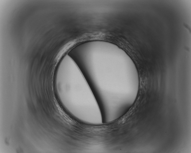 X0000100370054200806060812