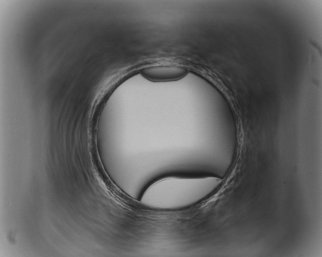 X0000100370055200806060812
