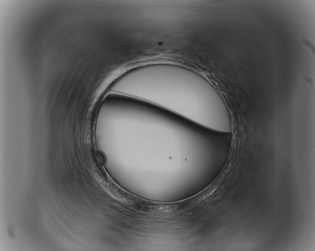 X0000100370056200806060812