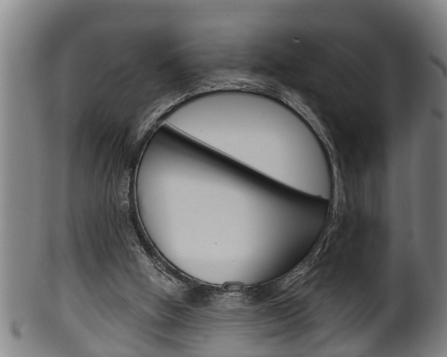 X0000100370058200806060812
