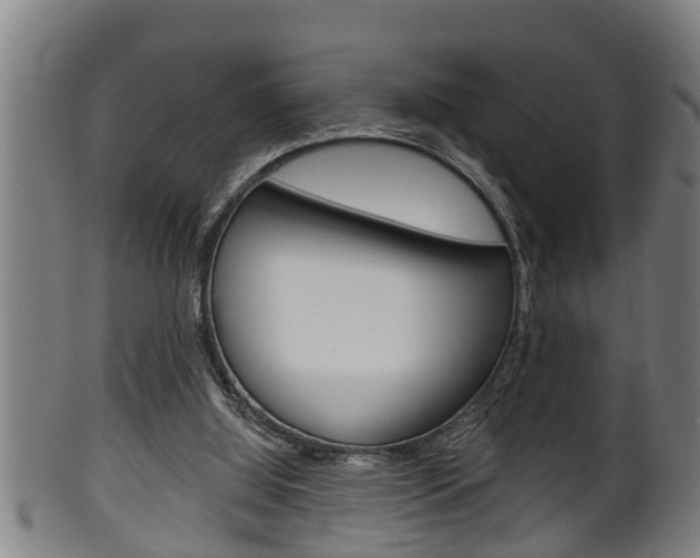 X0000100370060200806060812