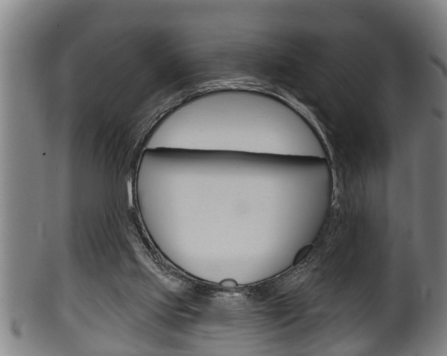 X0000100370061200806060812